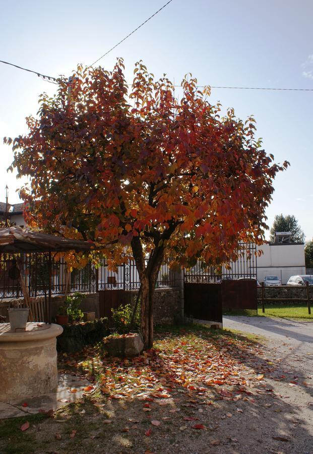 B&B Nella Terra Di Mezzo Caporiacco Exterior foto